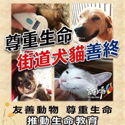 路邊狗狗死掉|街道犬貓遺體善終處理 雲林縣府尊重生命1999今正式。